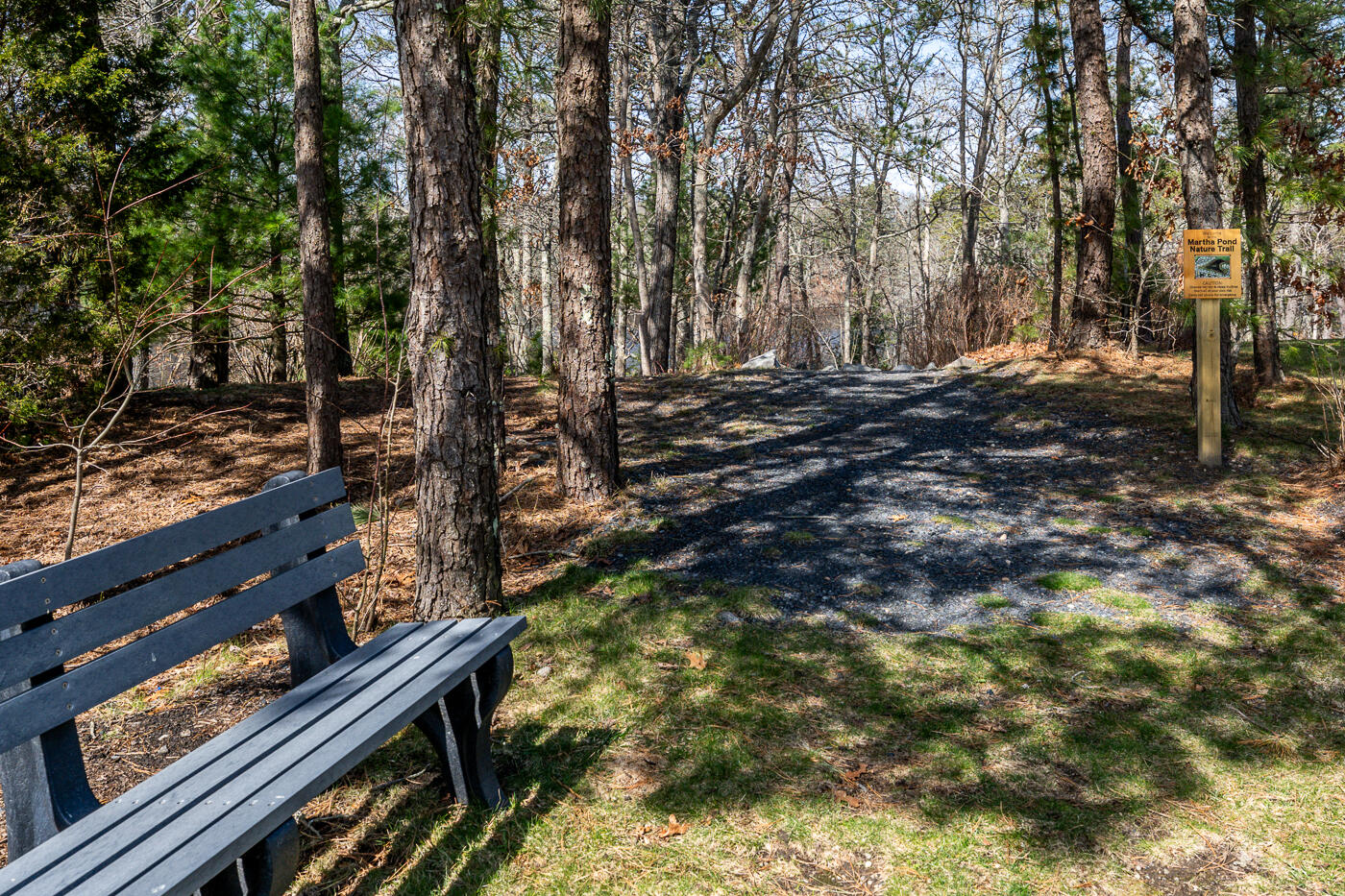 1 Ironwood Path