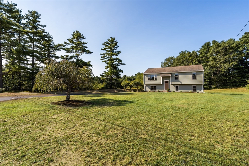 16 Pine St