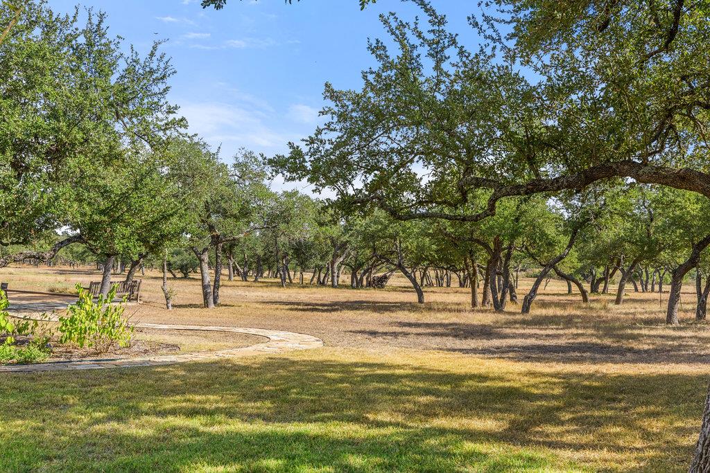 18601 Madrone Vista DR, Austin