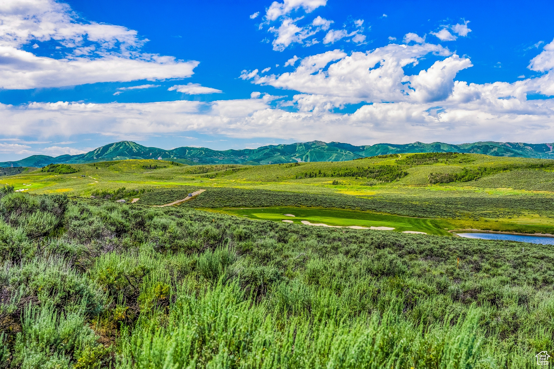 5785 GOLF CLUB LINK #11
