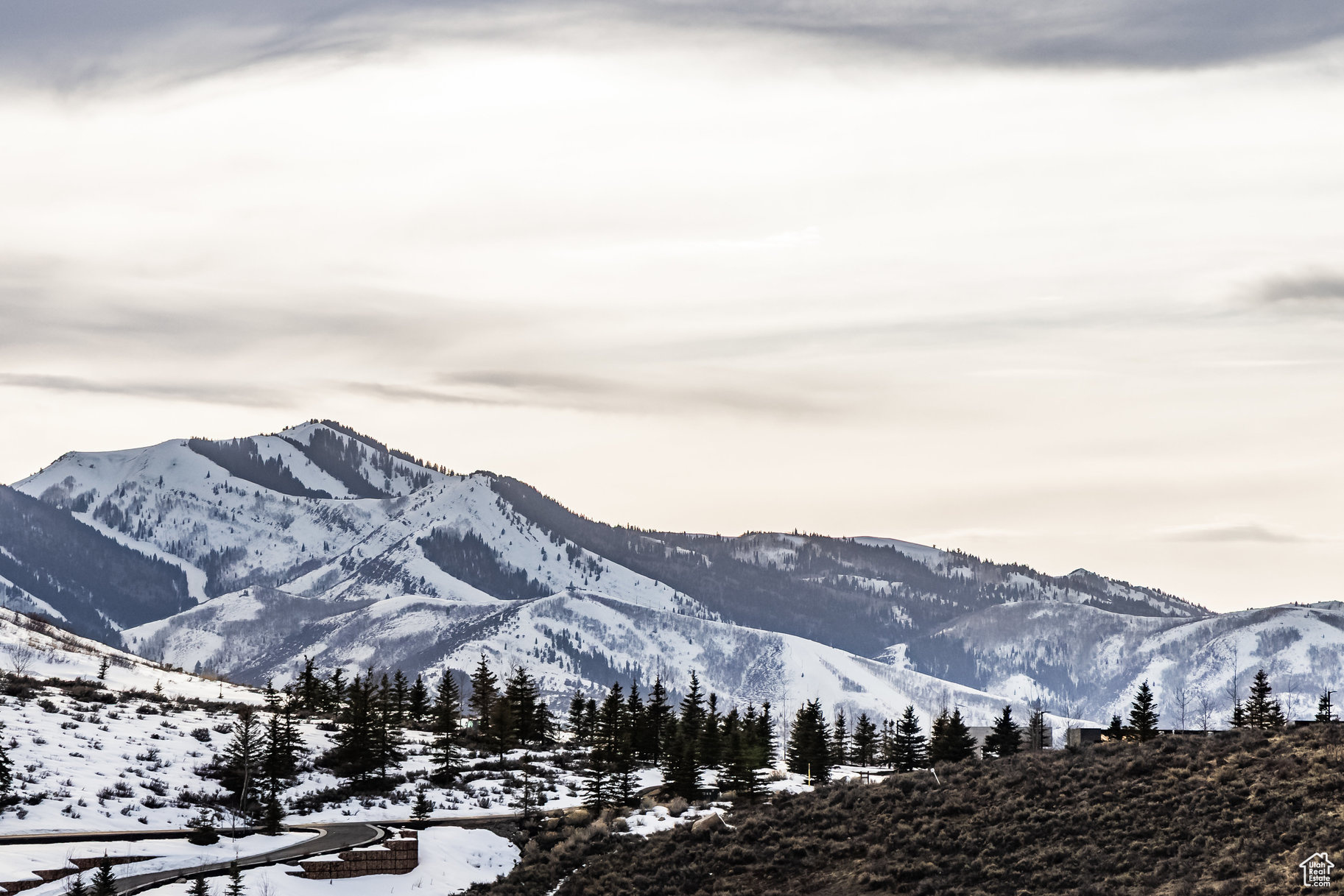 6731 GOLDEN BEAR LOOP