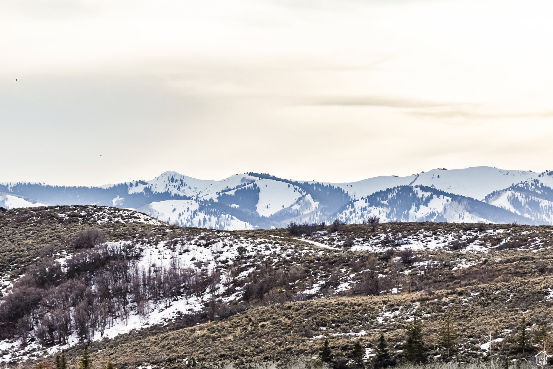 6731 GOLDEN BEAR LOOP