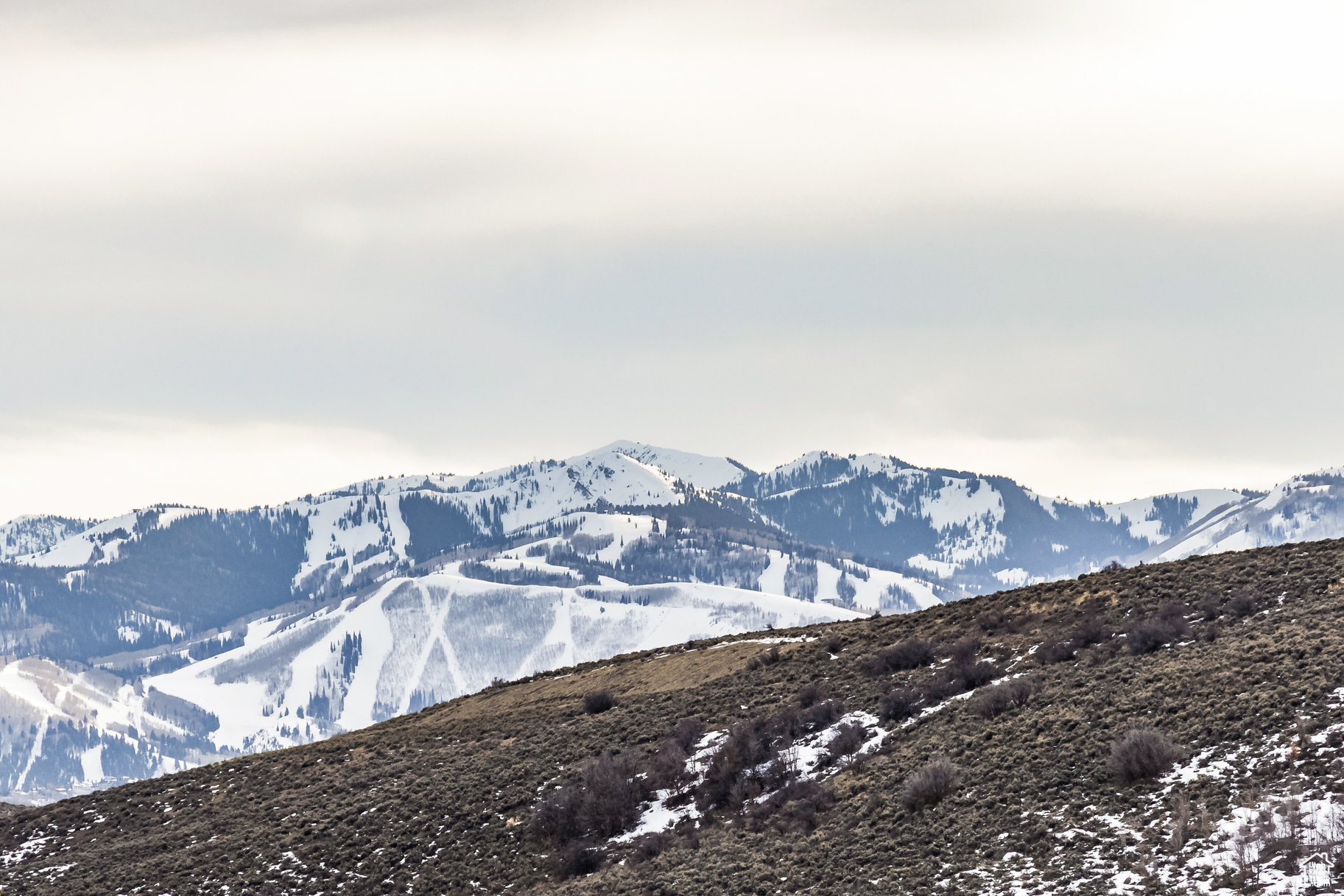 6731 GOLDEN BEAR LOOP