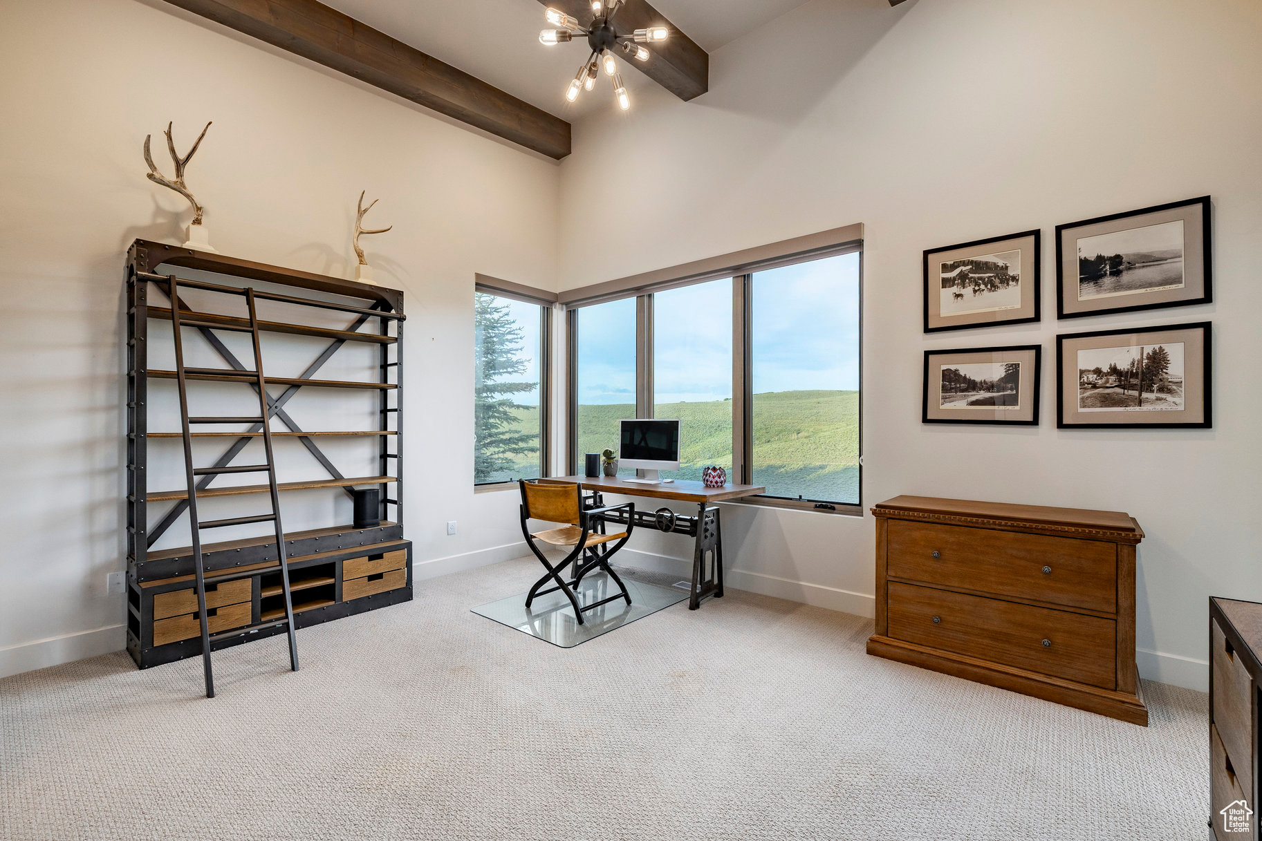 6836 GOLDEN BEAR LOOP
