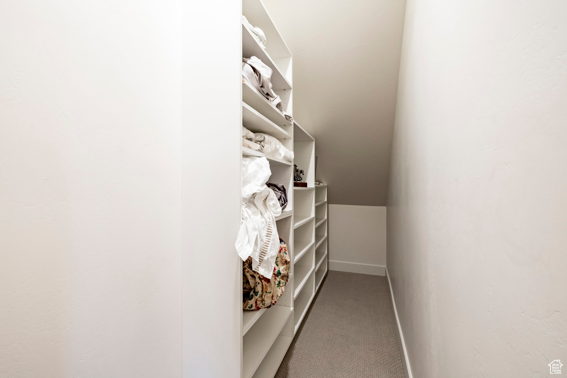 6836 GOLDEN BEAR LOOP