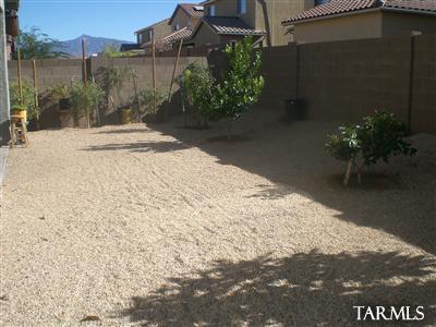 10466 E Capercaillie Street