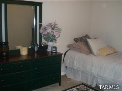 10466 E Capercaillie Street