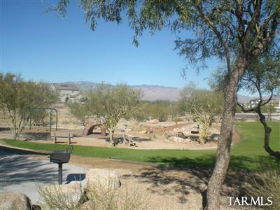 10466 E Capercaillie Street