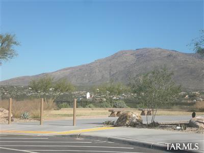 10466 E Capercaillie Street