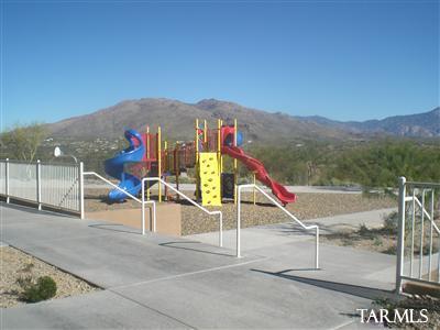 10466 E Capercaillie Street