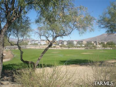 10466 E Capercaillie Street