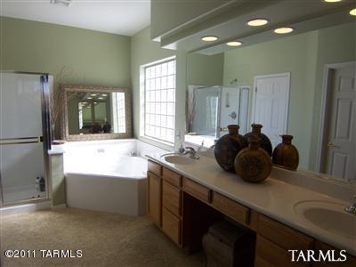 4878 S Placita Joropo