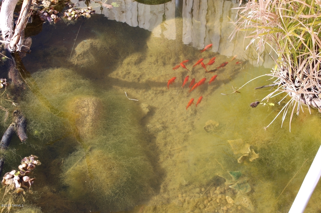 2123 S Rosemont (No Traffic) Avenue