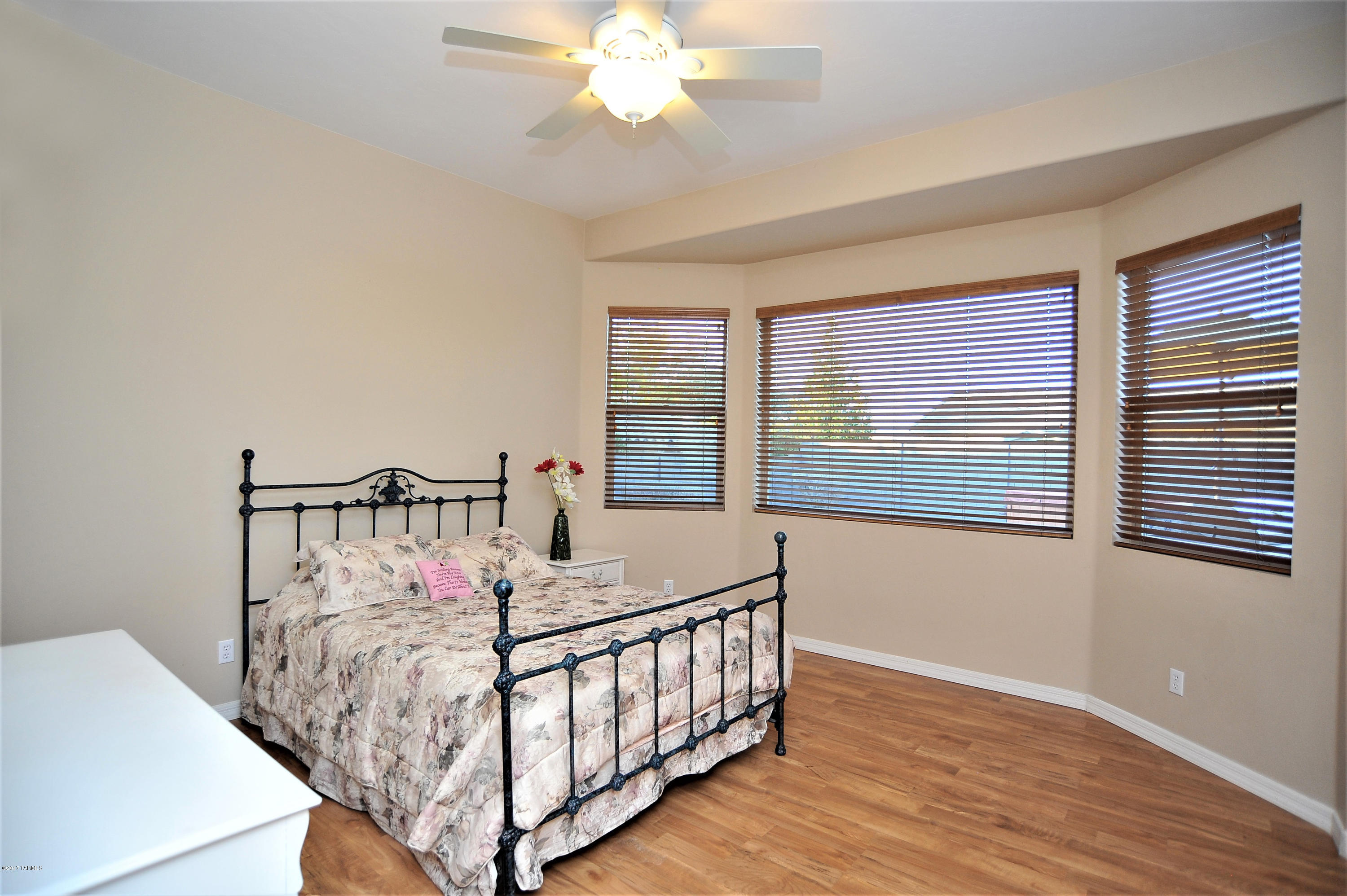 9903 S Camino De La Calinda