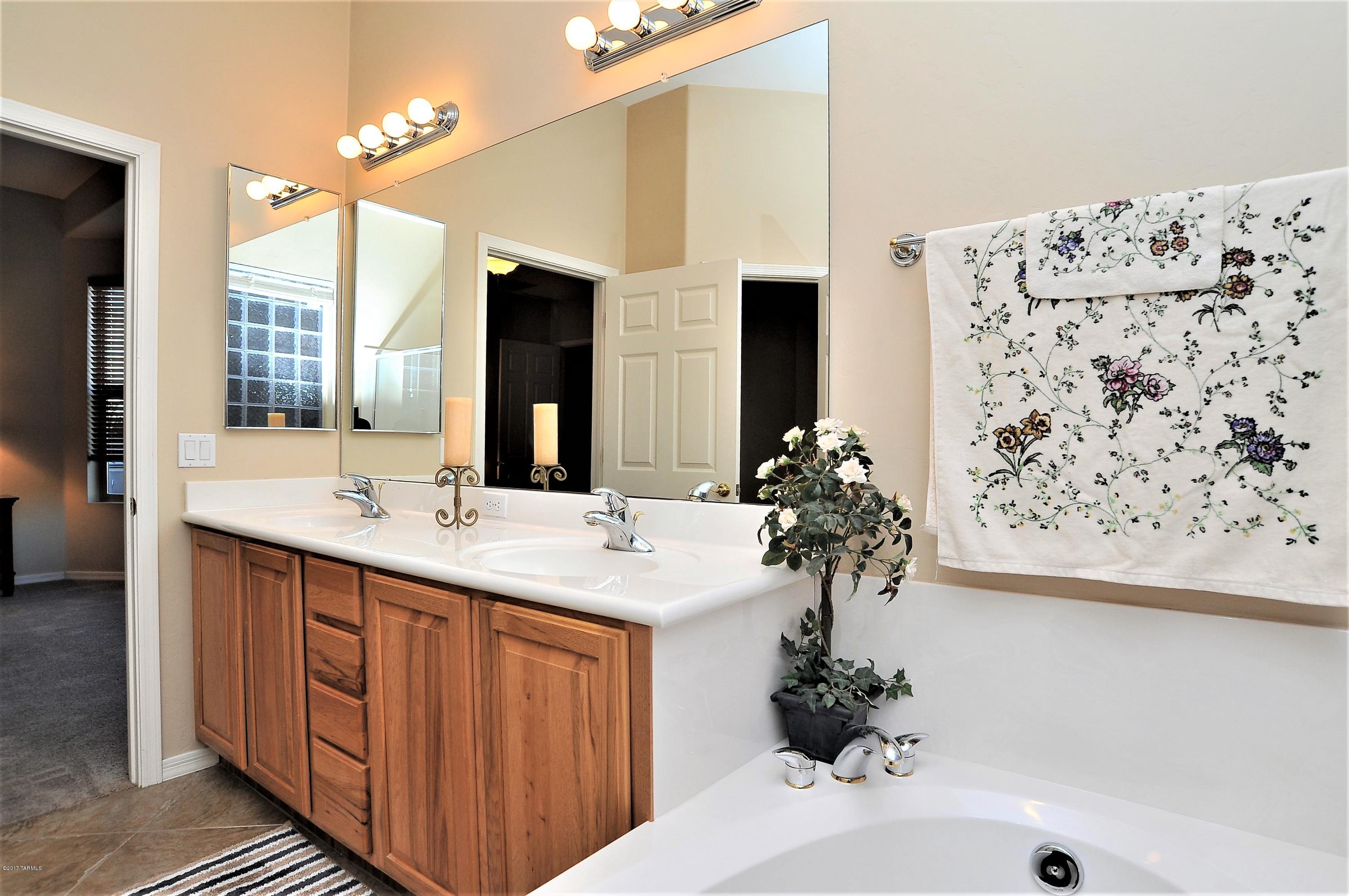 9903 S Camino De La Calinda