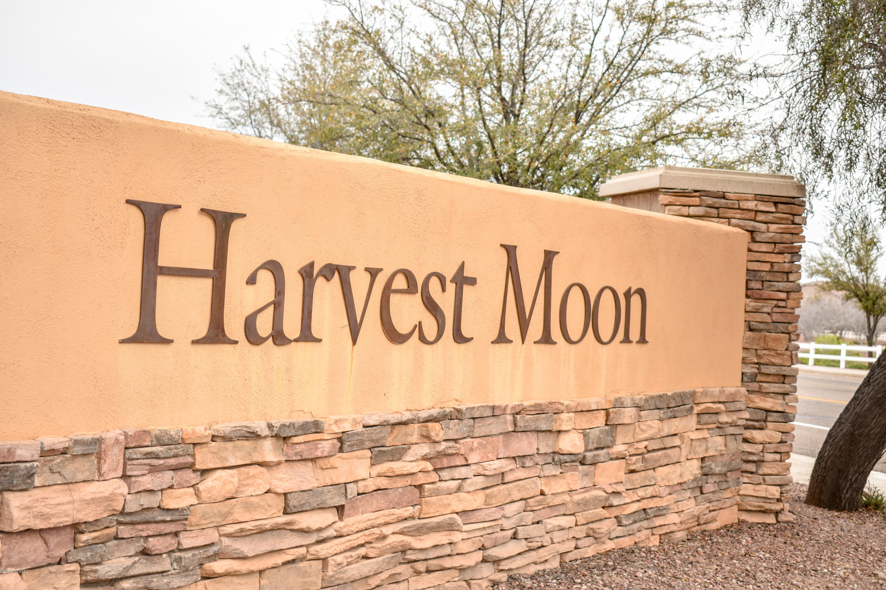 12668 N Rodeo Land Avenue