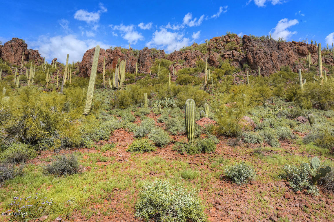 8983 W Twin Springs Drive