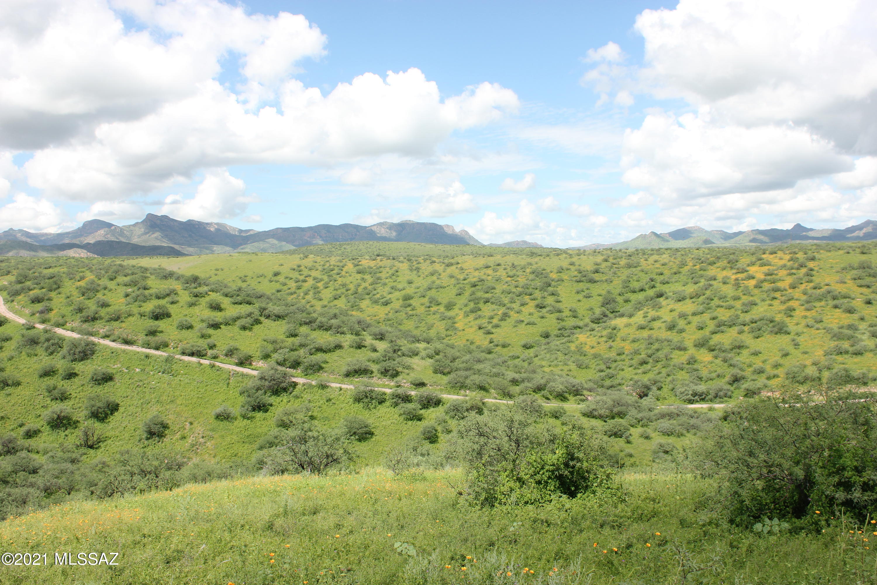 676 Calle Lukas Unit: 9