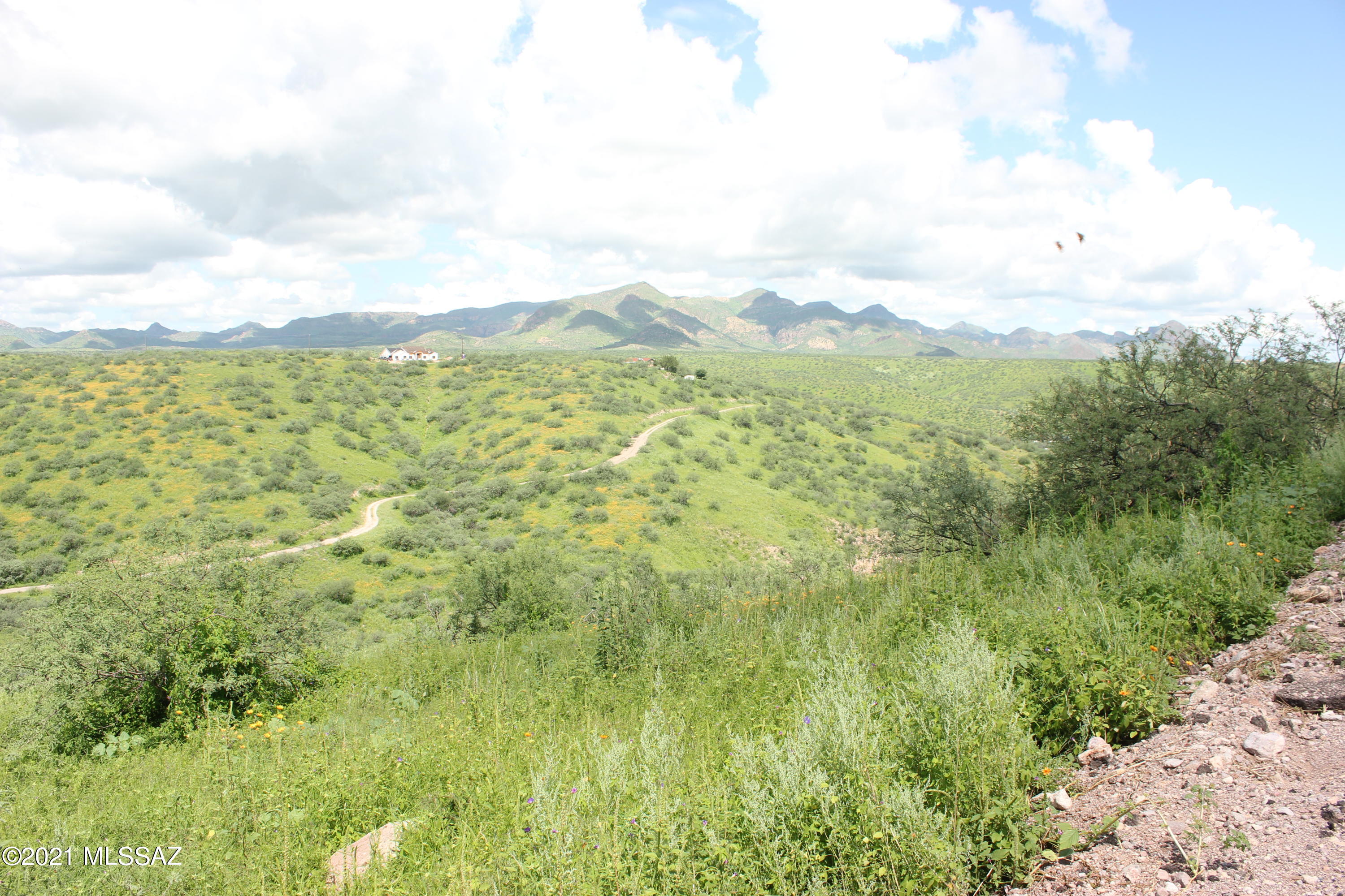 676 Calle Lukas Unit: 9