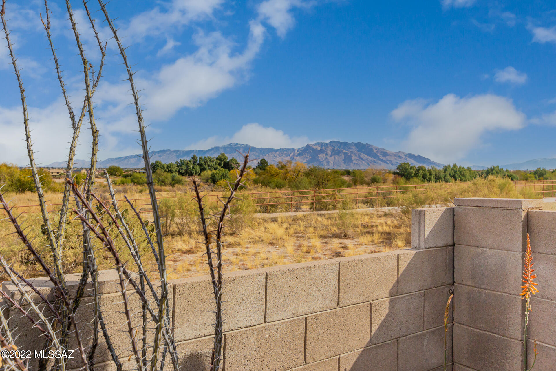 6544 W Plomosa Place