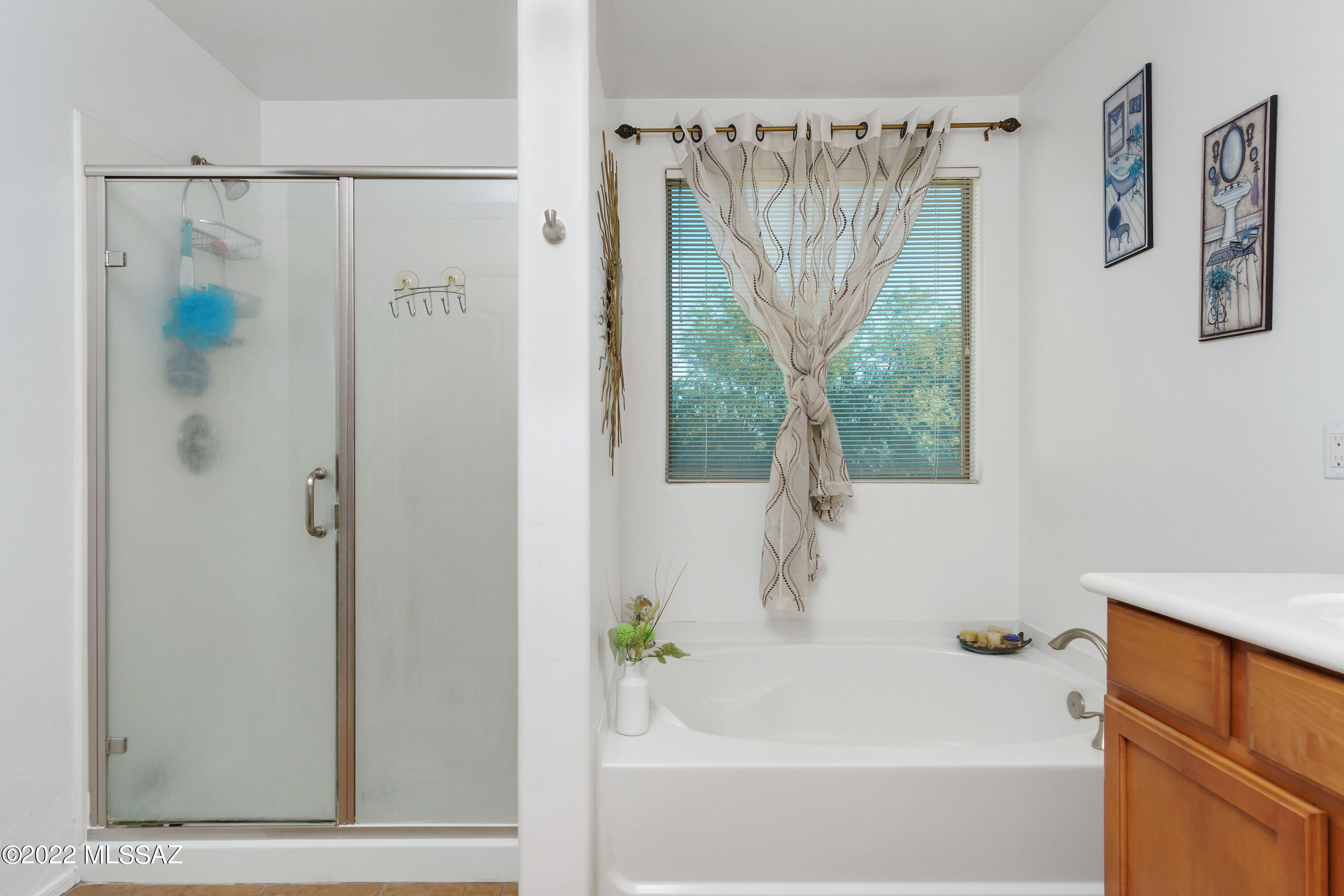 5274 E Agave Vista Drive