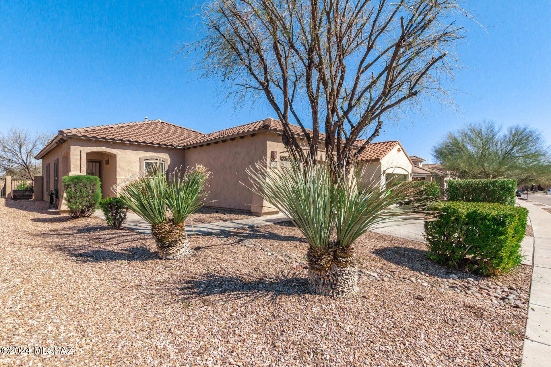 14419 S Camino El Galan