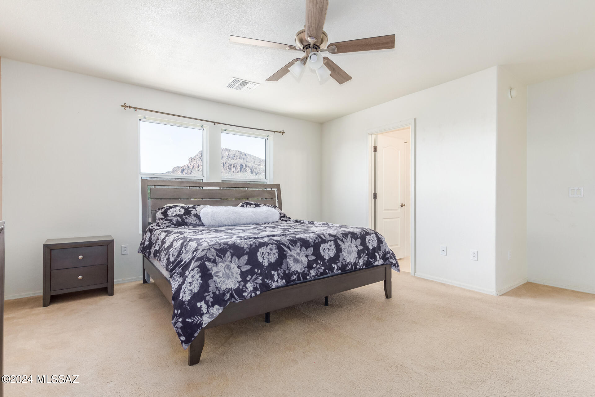 4884 W Calle Don Manuel