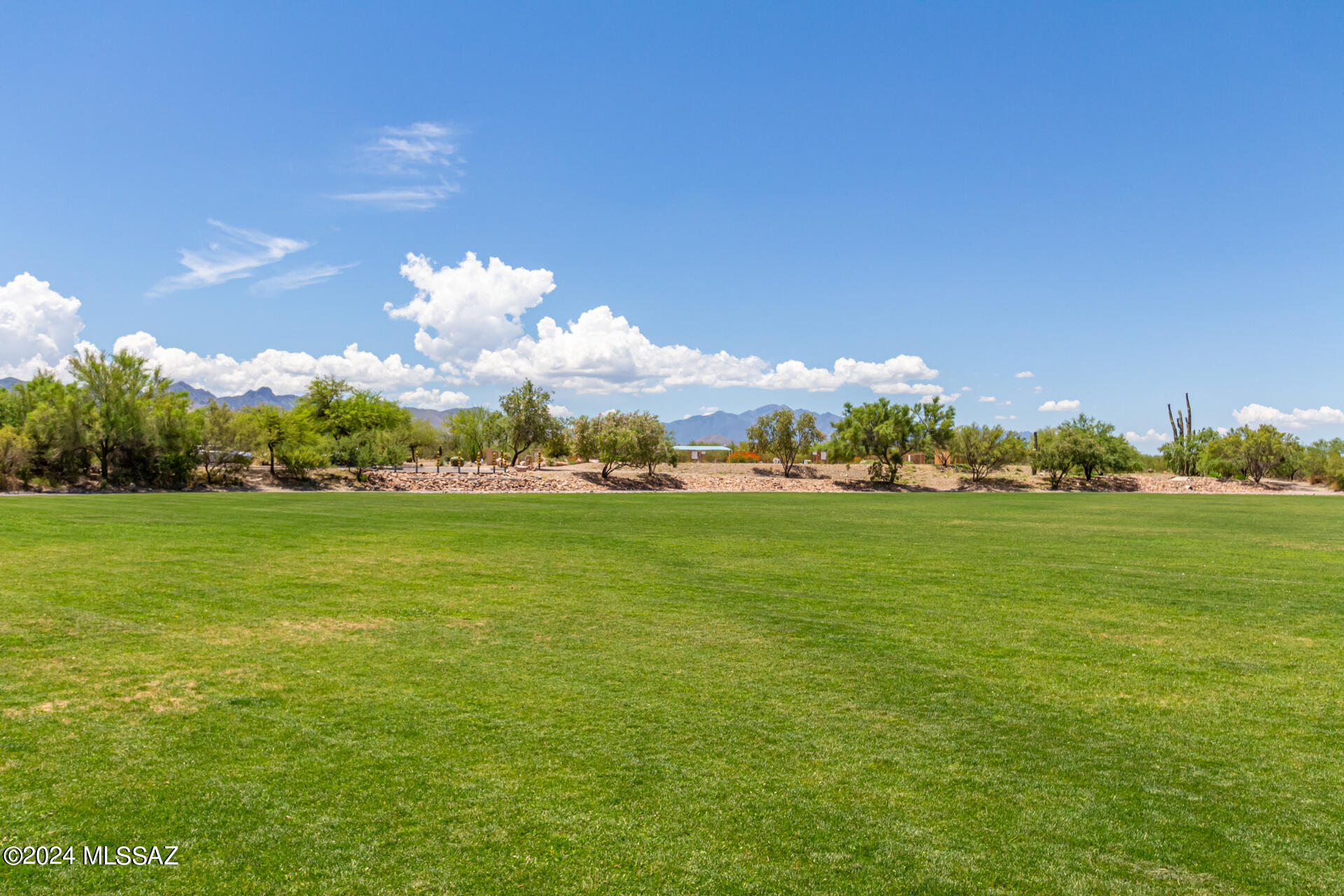 17570 S Garden Sage Loop