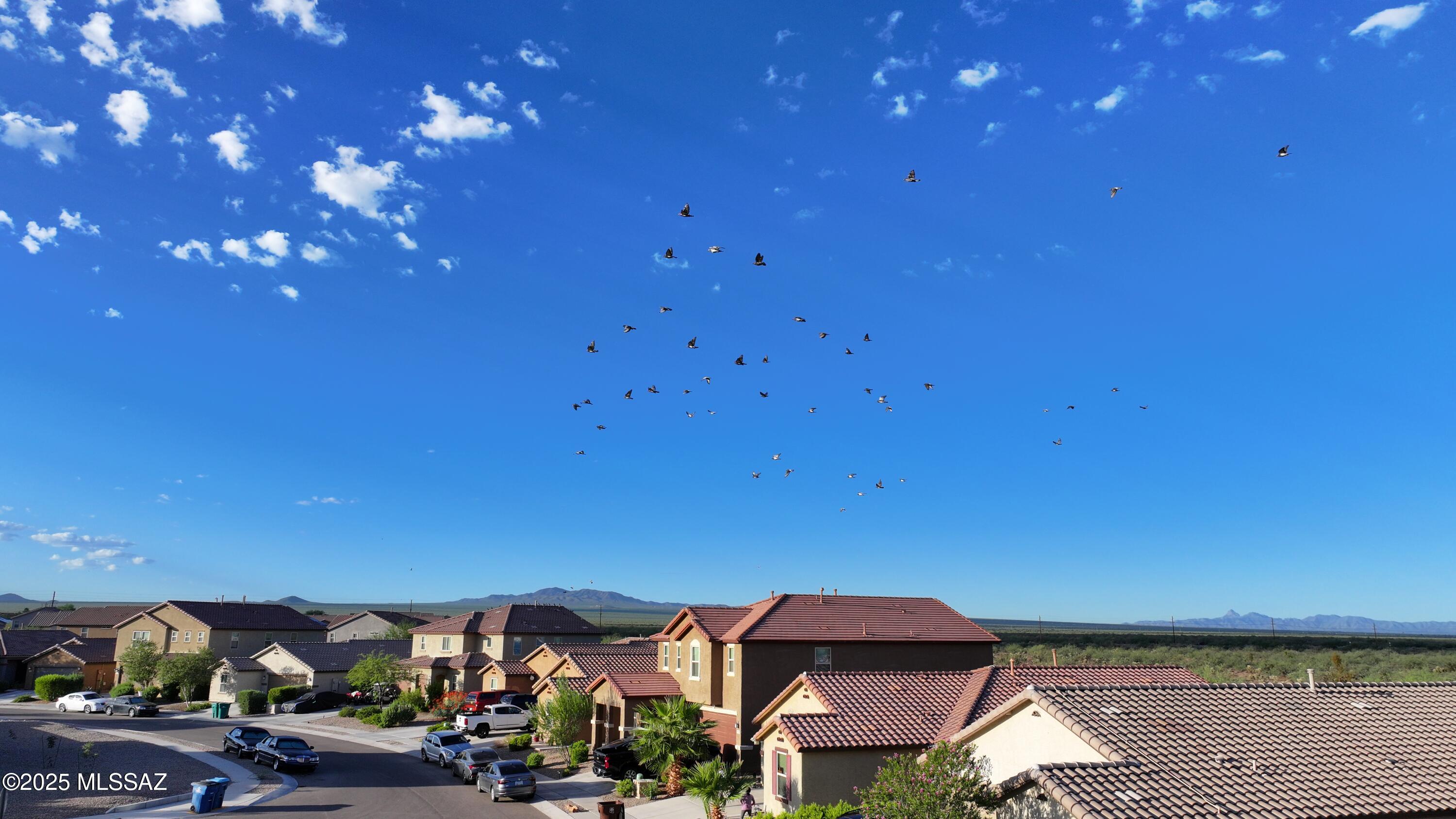 6284 S Nightjar Lane