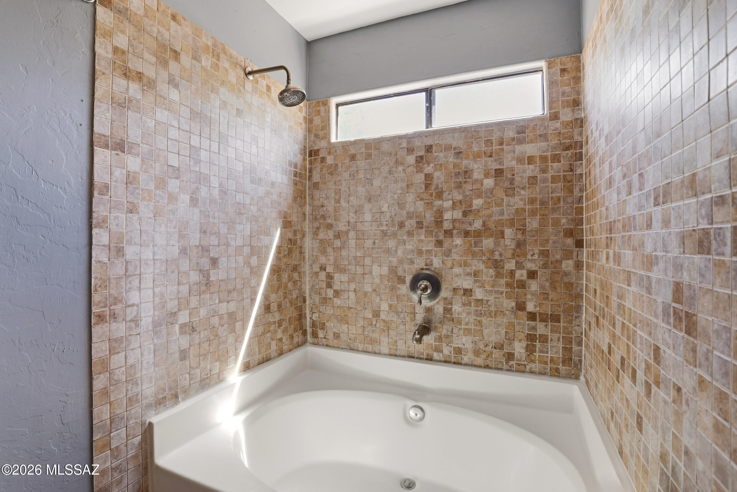 7413 W Palm Brook Place