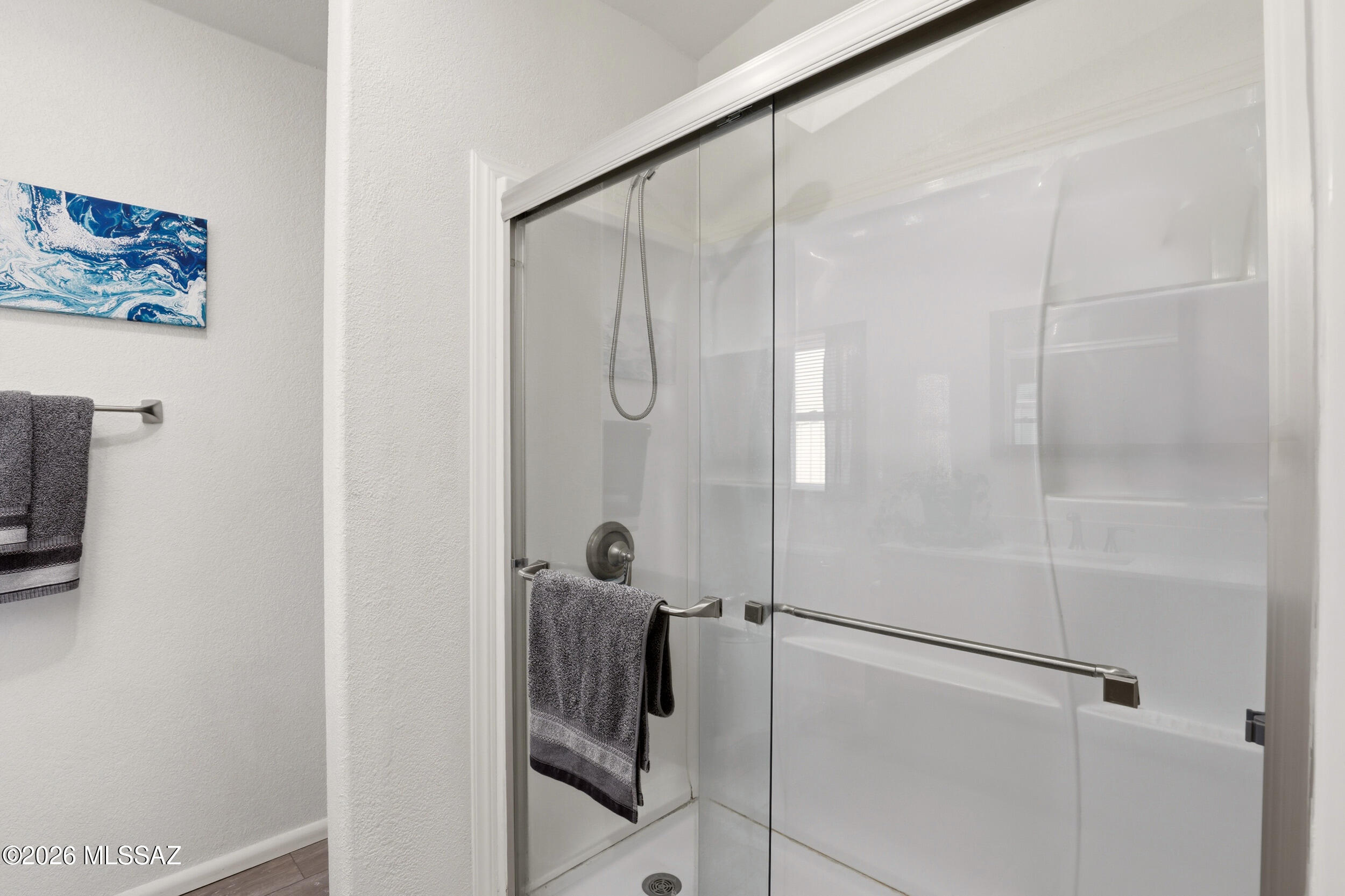 16921 W Placita Dato