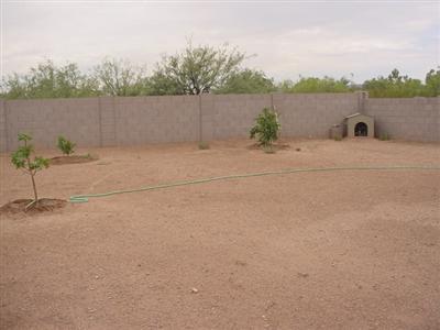 421 W Hammerhead Way