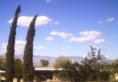 1609 E Calle Salamanca