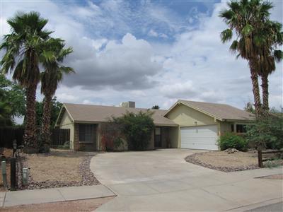 3117 W Coriander Drive