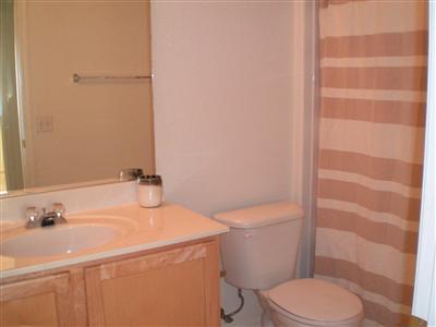 9264 N Crystal Moon Court