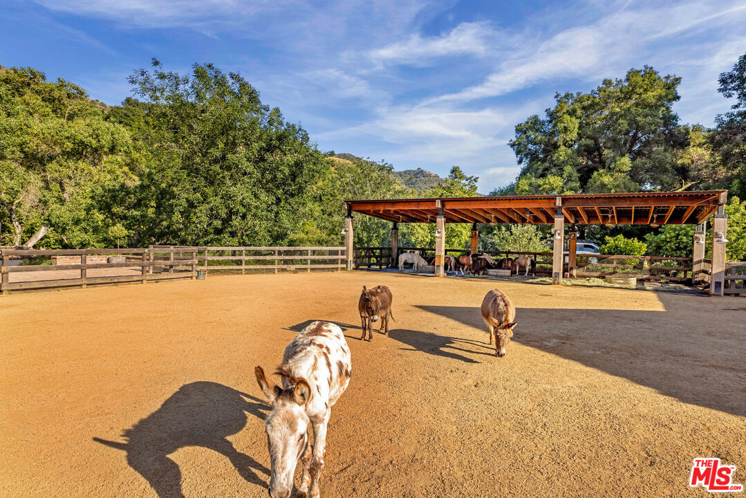 3099 Mandeville Canyon Rd