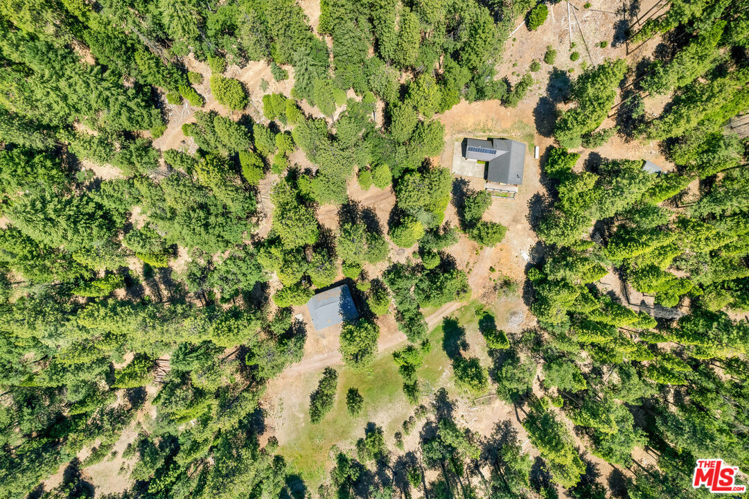 15050 Scott Bar Mountain Lookout Rd