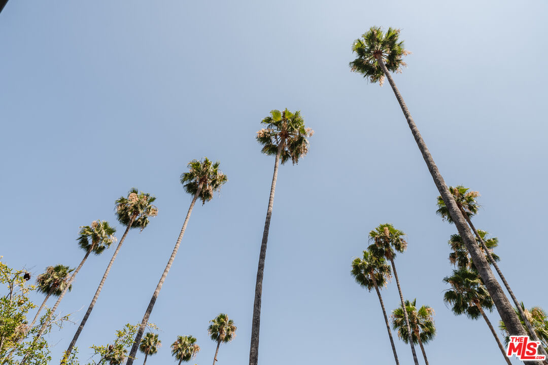793 Figueroa Dr