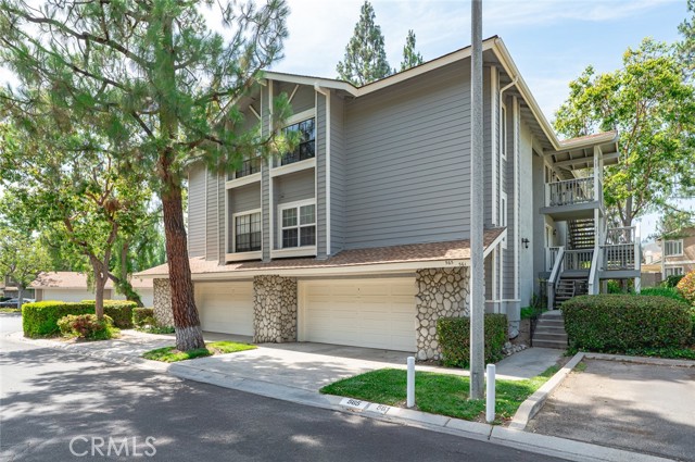 565 Ophir CIR