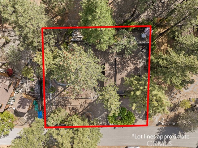 993 Partridge RD