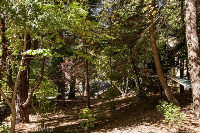 782 Lake DR