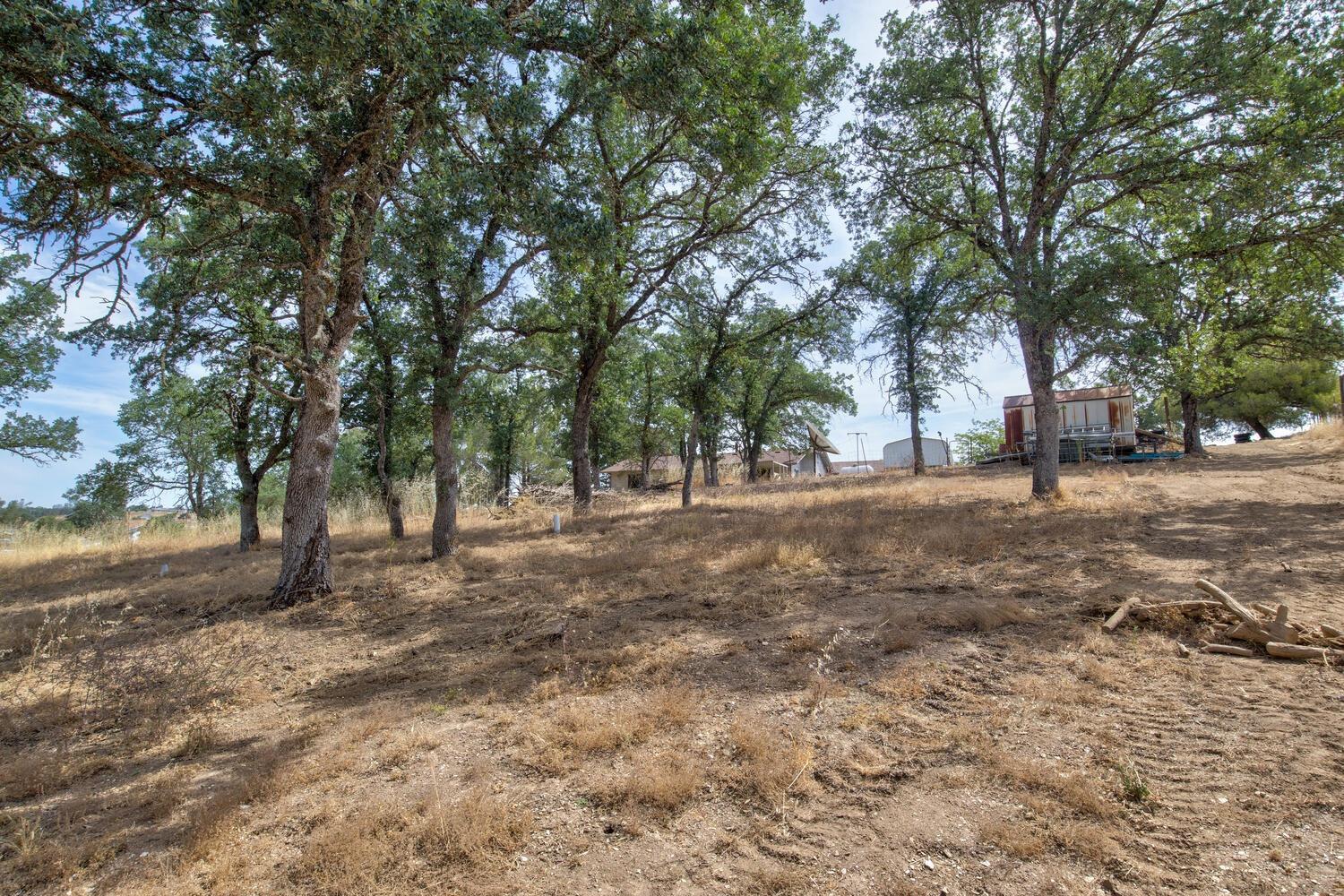 3226 Little John Road