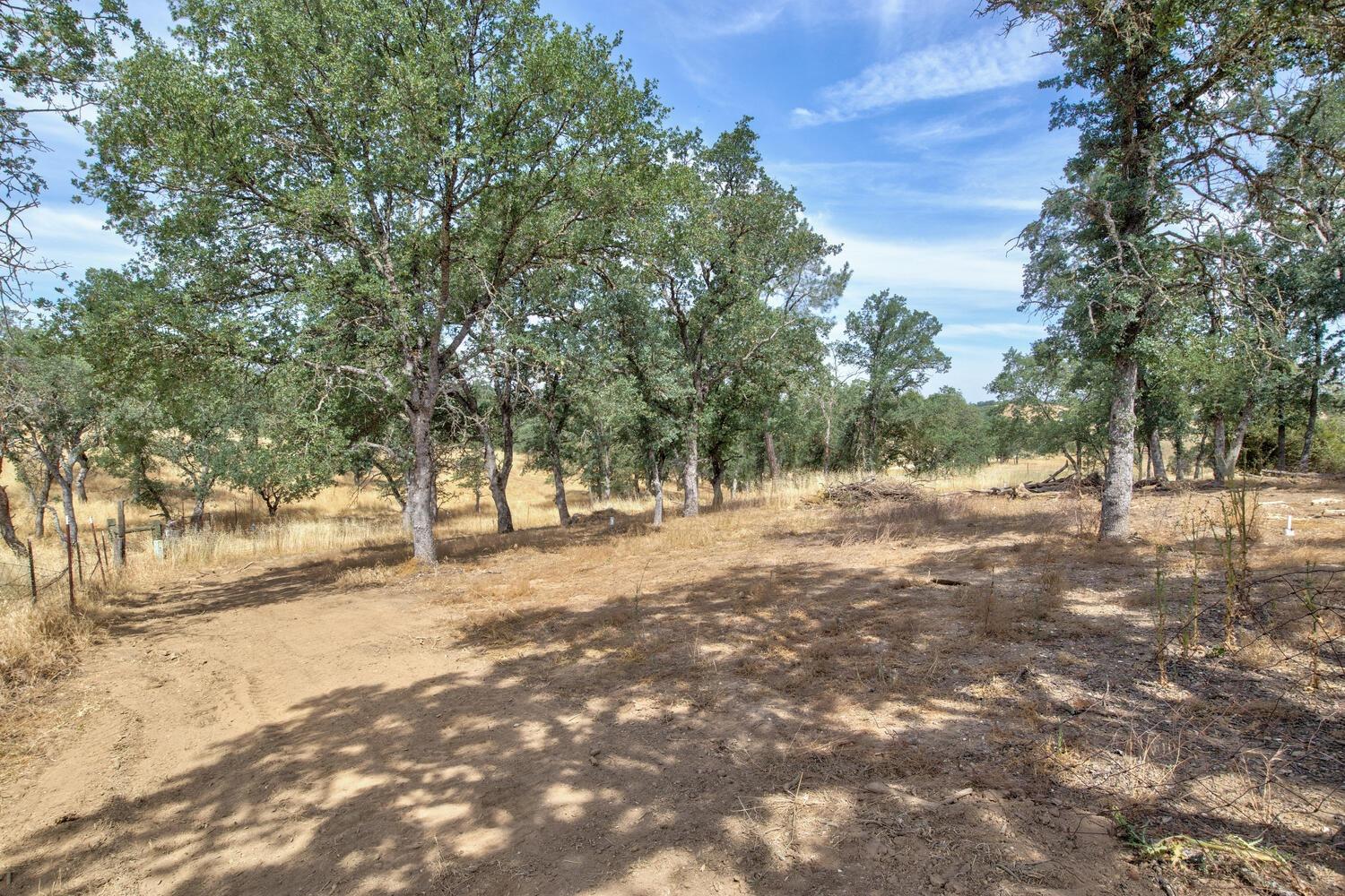 3226 Little John Road