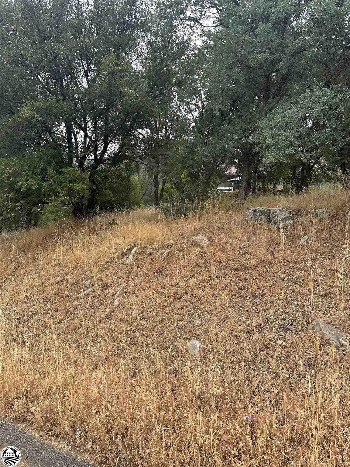 12955 Sunnyhill Court