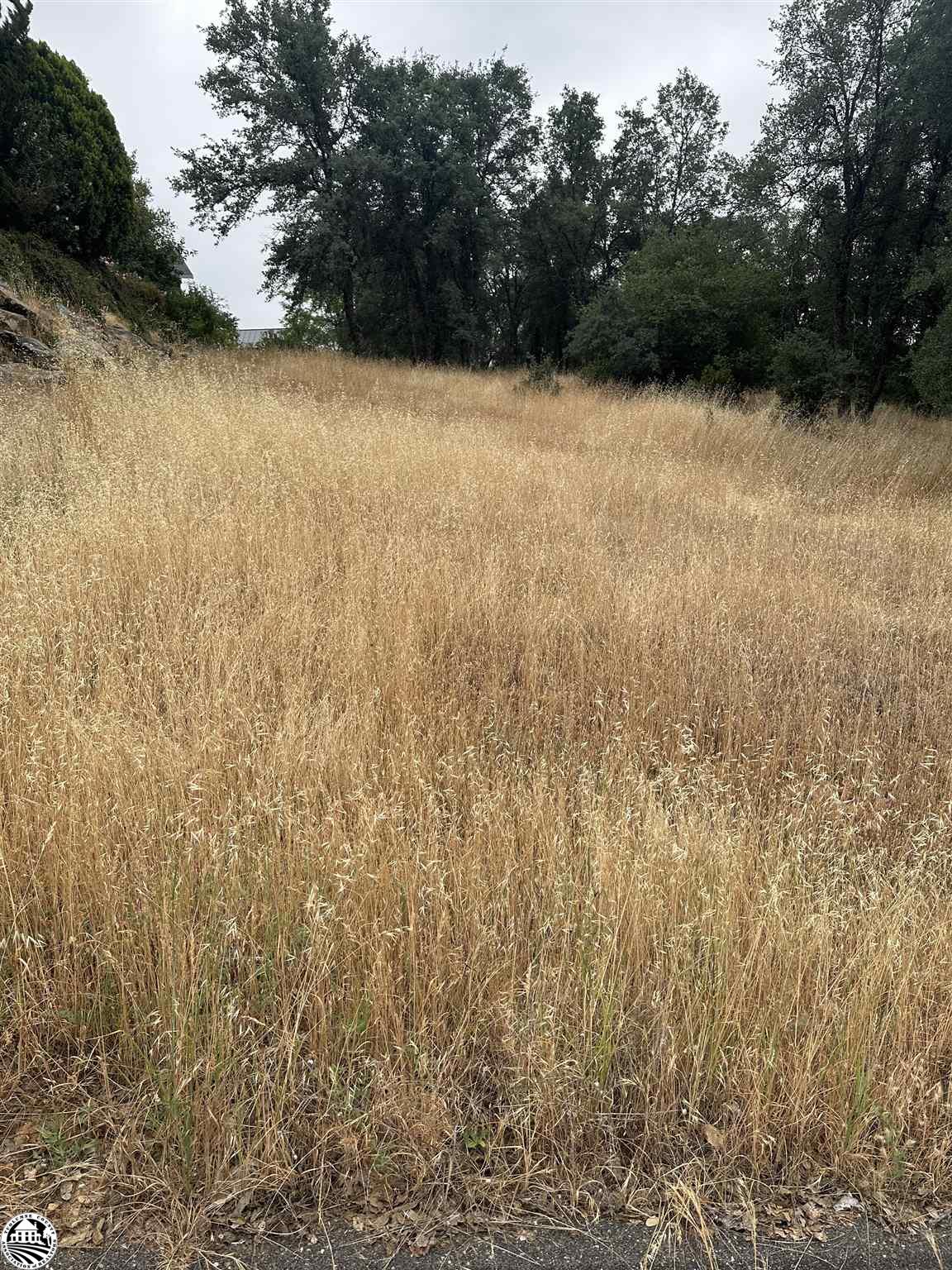 12955 Sunnyhill Court