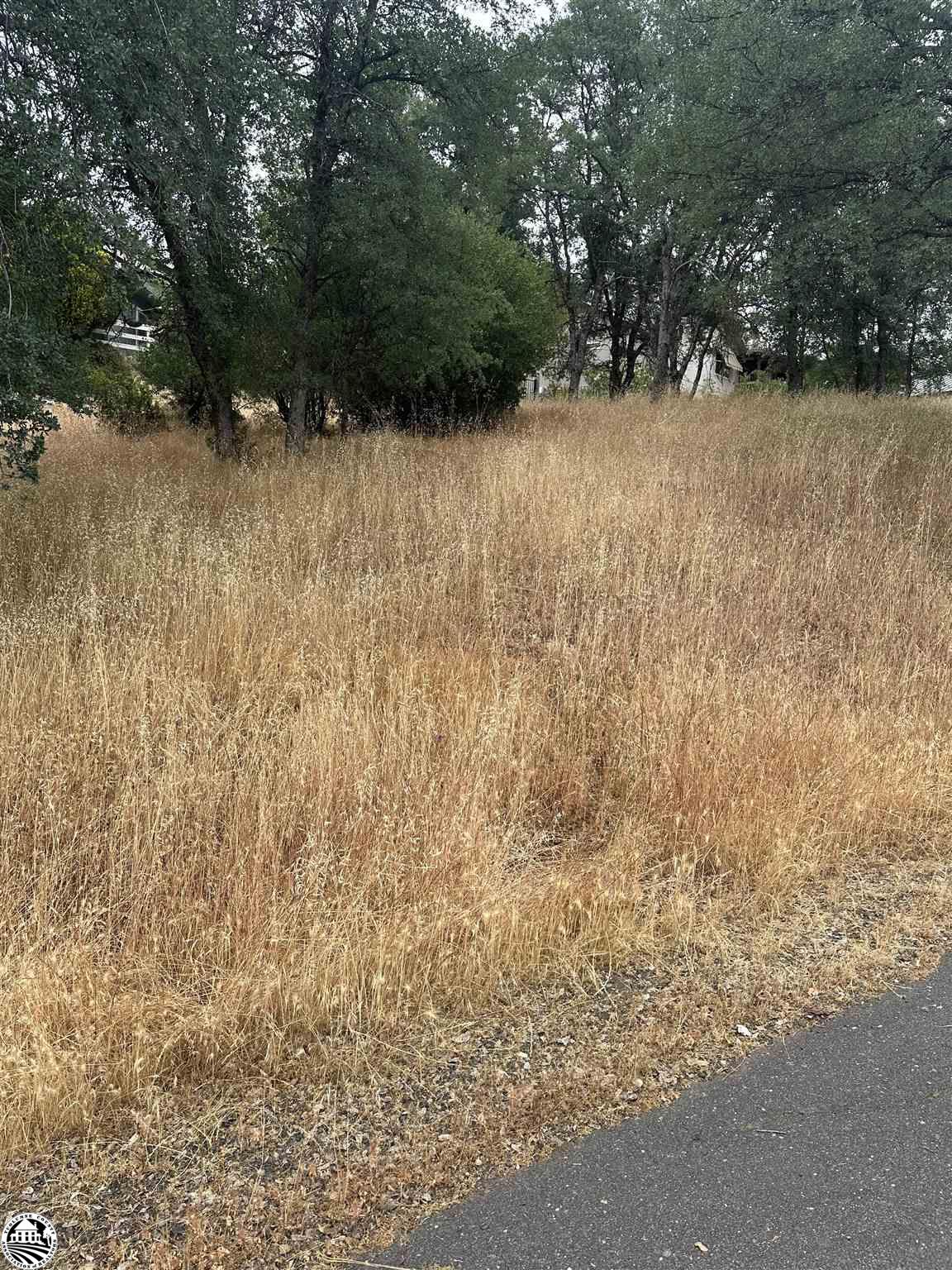 12955 Sunnyhill Court