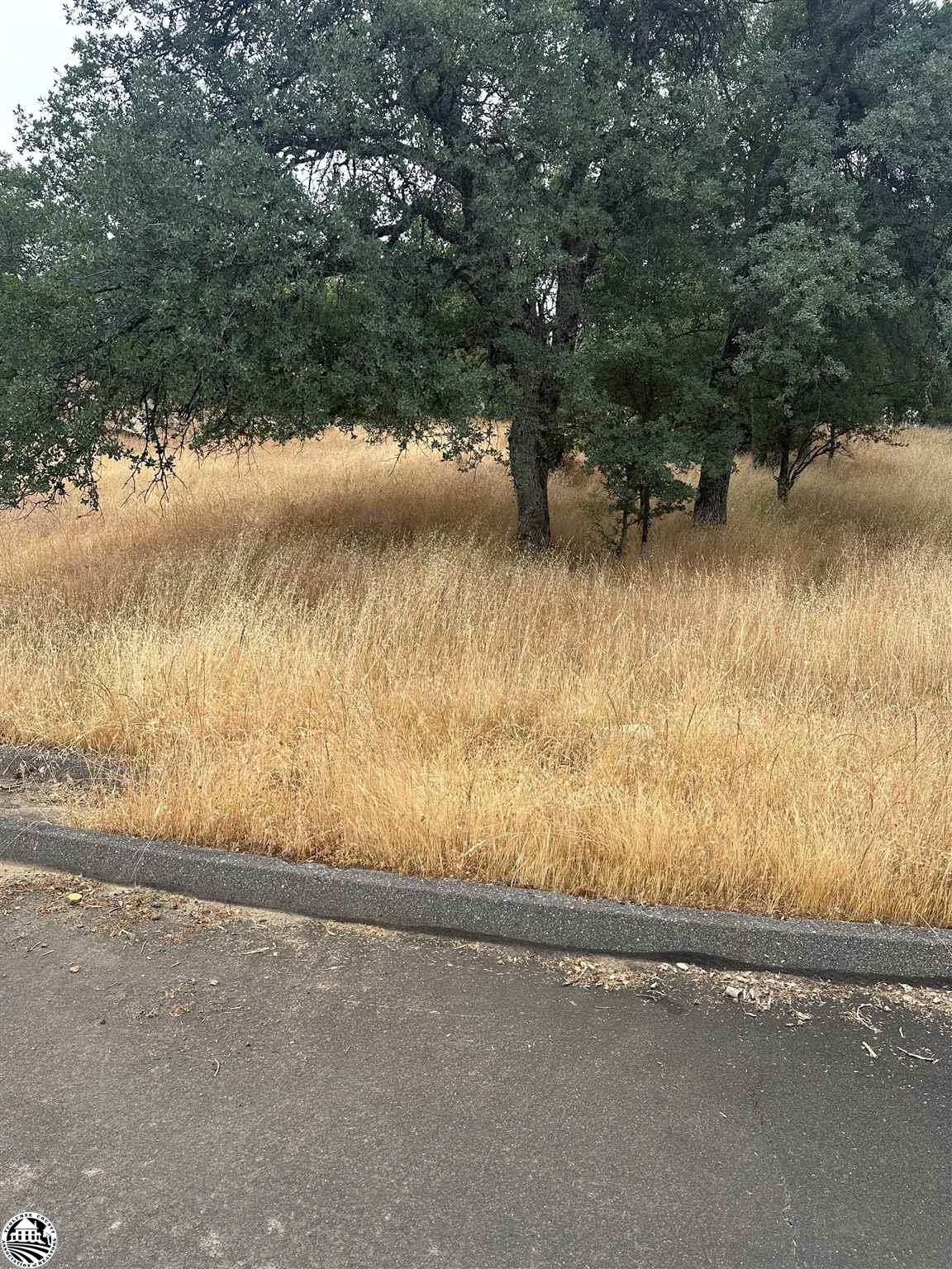 12955 Sunnyhill Court