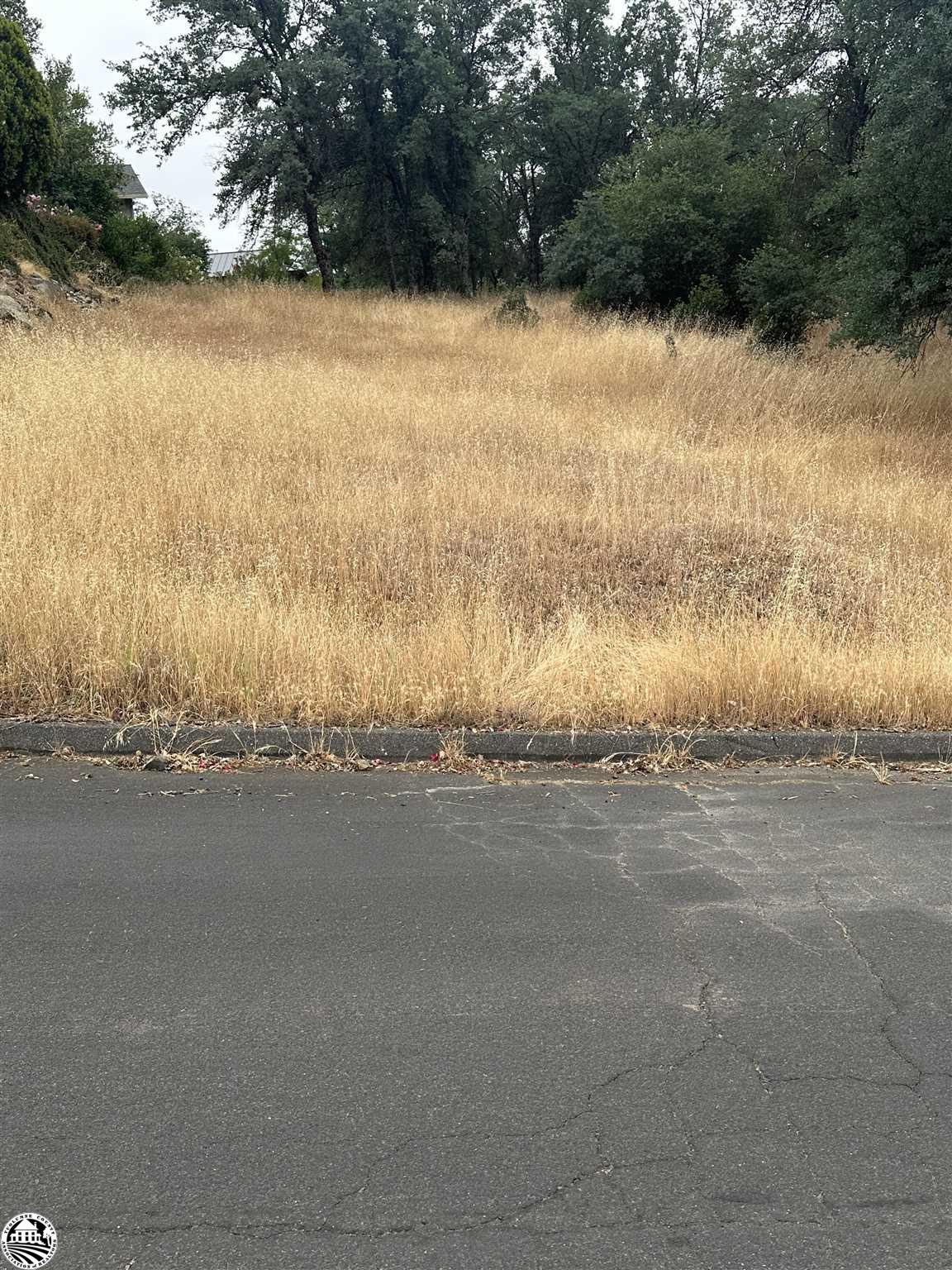 12955 Sunnyhill Court