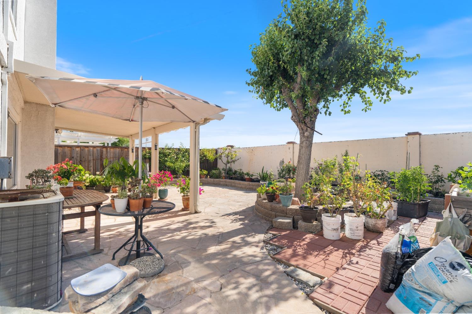 4624 Wolf Way