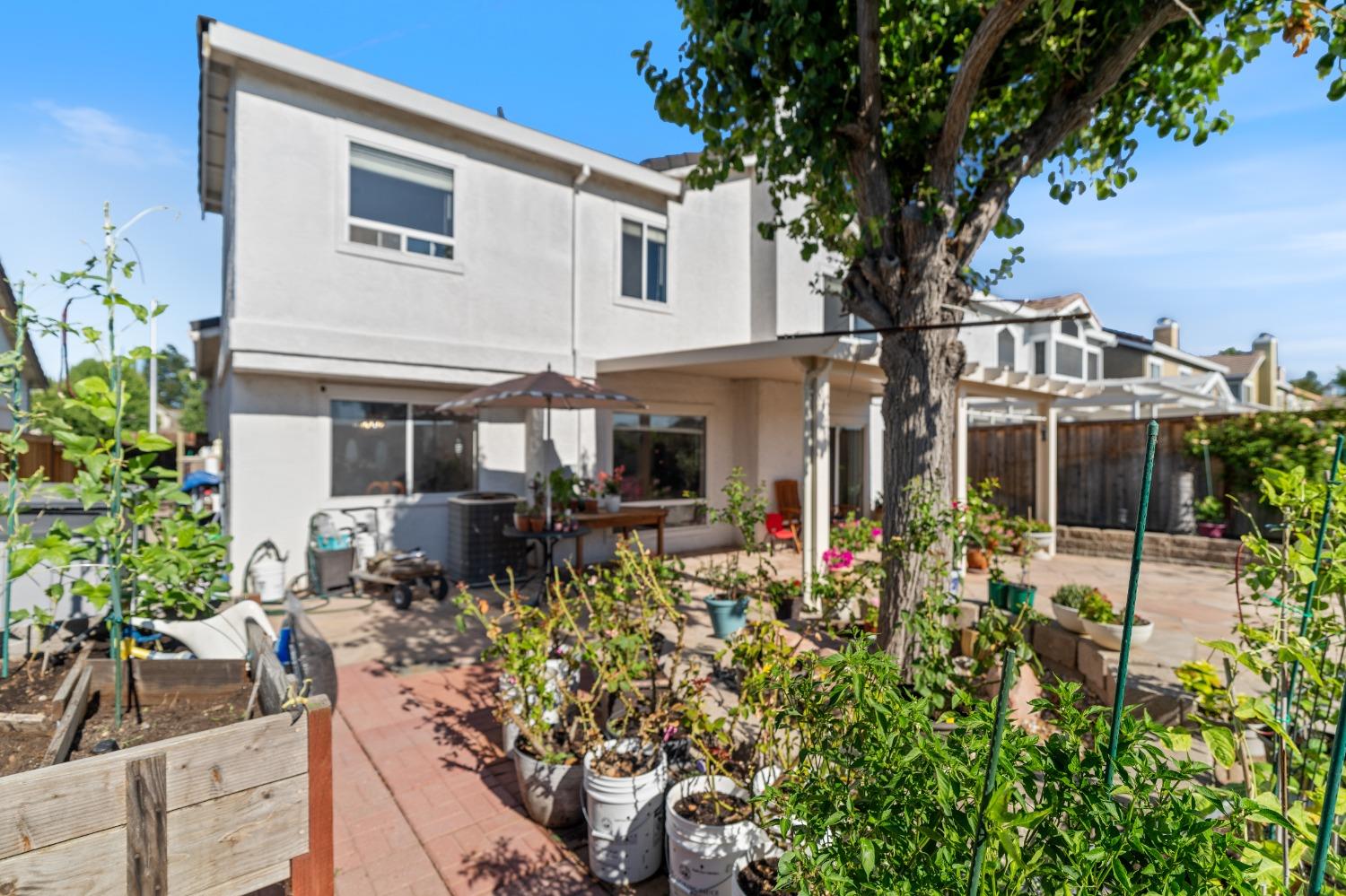 4624 Wolf Way
